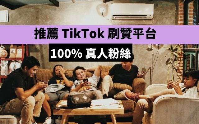 TikTok 刷贊平台