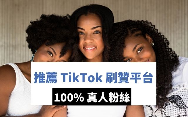 TikTok 刷贊平台