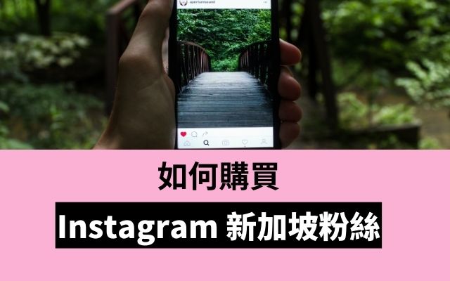 如何購買 Instagram 新加坡粉絲