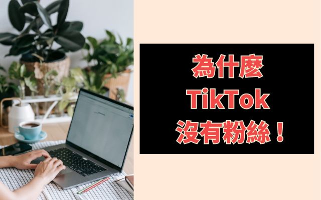 為什麽 TikTok 沒有粉絲