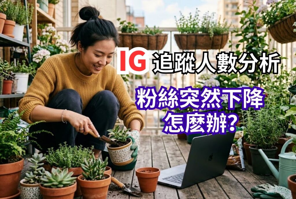 ig追蹤人數分析